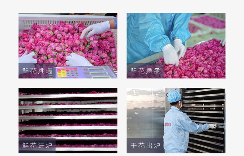 新货批发厂家直销重瓣红玫瑰食用玫瑰粉 食品添加玫瑰花瓣粉
